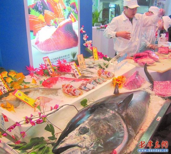 探访上海远洋捕捞业:渔船可开到南极捕虾(图)