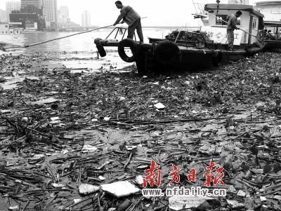 一场洪水过后，环卫部门的垃圾打捞船穿梭珠江河面，对上游漂下来的污染珠江河水的垃圾进行彻底打捞清理。资料照片