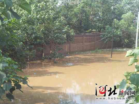 宁晋商务局驻西王里村工作组暴雨中抢救受灾鸡