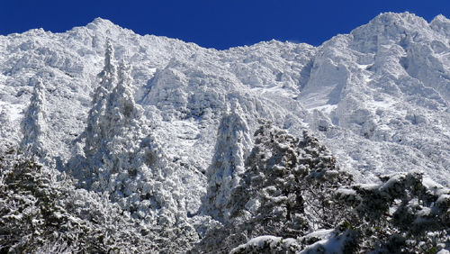 台合欢山雪线下移近年罕见 玉山积雪逾25厘米(图)