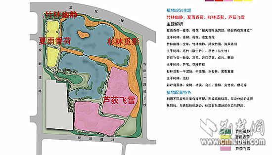 竹叶海湿地公园核心区域改造规划图