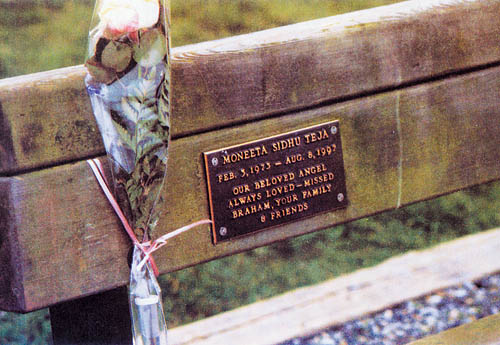 父子出书展示温哥华城市细节受到中国官员重视