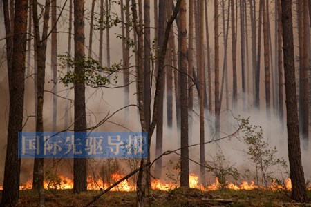 自然灾害频发考验中国慈善捐赠高潮背后存危机