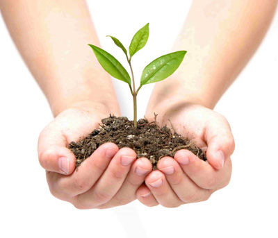 限制民间公益组织发展不如放开注册加强监管