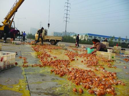 心疼!千余斤鸡蛋碎了