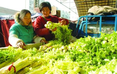 叶菜类蔬菜降价