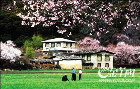 江西庐山 雨凇雾淞瀑布云齐现_天气预报