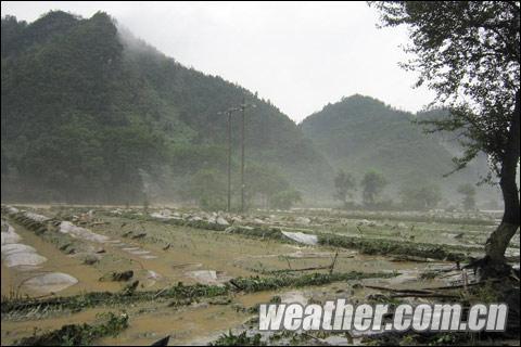 铜仁暴雨滂沱 街道洪水半小时及膝 预警升最高