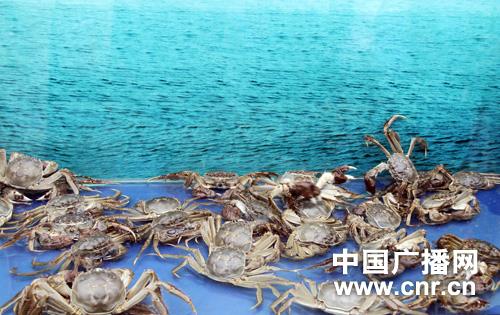 湖南益阳获得中国淡水鱼都称号