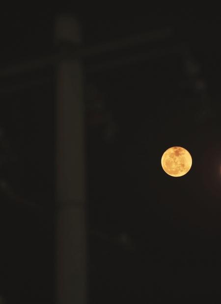 ����̫�����Ǹ��ƴ󺮴��ڶ�����