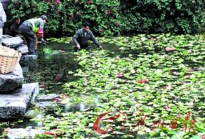 ���Ĵ���