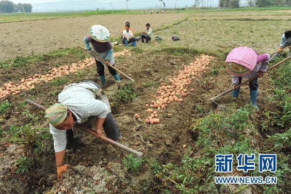 ����ӯ����������Ⱥ�ڻ�����չ�����Ծ�