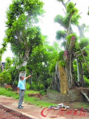 ����Ϊ��װ�����㣬�ܶ��������ʱ����“��ͷ����”��