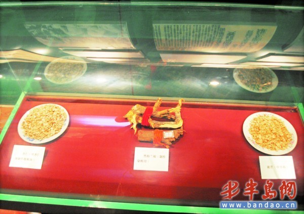 ̽�ø���ʥ���Ӱ������忪��Ӣ����ţ����