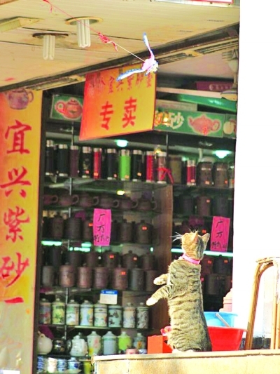 ˭����ժ�·��ݣ�