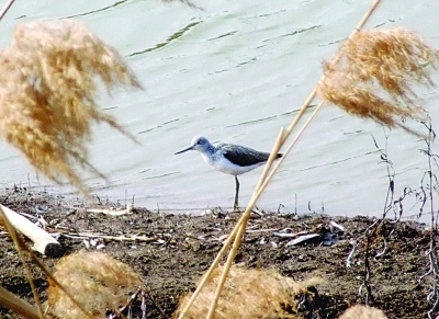 ���������������