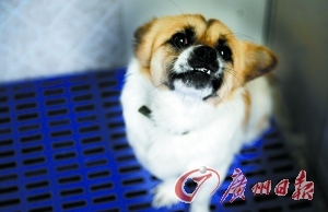 ��è�����ضȾ�ϵ��O����