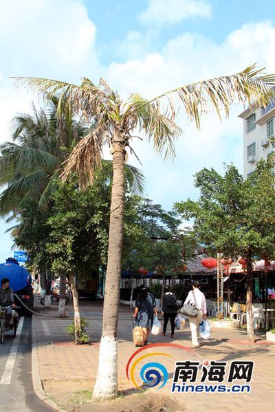 ����Ҭ��ȾҬ��Ҷ����ҵ���ţ��޷����οɿ���