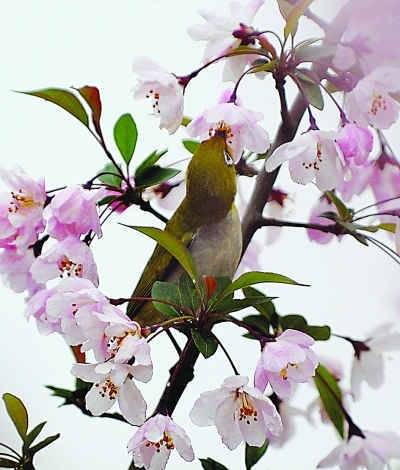 ��Ҳ�����Ŷ��