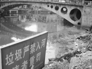 温州市委书记:治污效果以环保局长下河游泳为