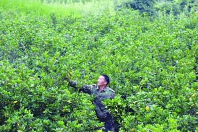 ��ͷ���ӻ�9�ɲ����ֿ����ô�