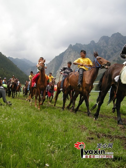 亚心论坛免费邀请摄影爱好者去西白杨沟风景外