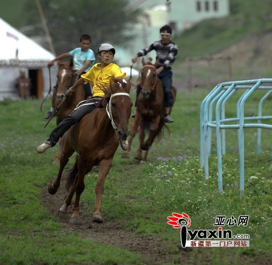 亚心论坛免费邀请摄影爱好者去西白杨沟风景外