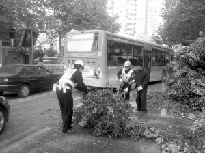 �޼���֦��·���·���½�����������غ��Ҫ������