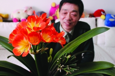 君子兰开花+一剑22朵