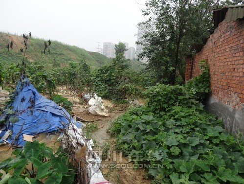 暴雨后成华区东升村二组80余户房屋进水