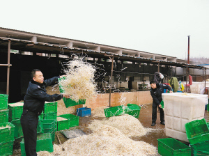 无根素+漂白水=毒豆芽