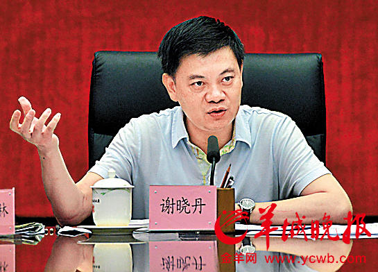 广州副市长:打飞机等未确定属卖淫犯罪|扫黄