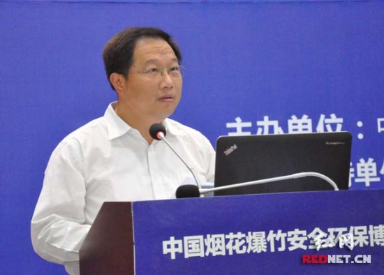 中国烟花爆竹安全环保博览会在浏阳开幕(组图)