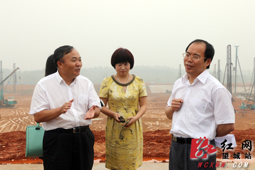 长沙望城区委书记谭小平调研金桥国际商贸城招