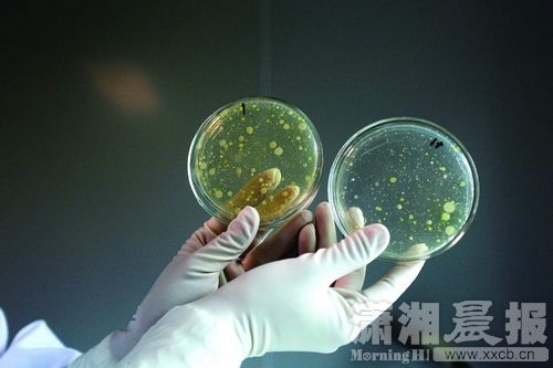 实测饮水机桶装水:菌落总数超标到不可计数