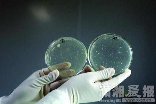 实测饮水机桶装水:菌落总数超标到不可计数