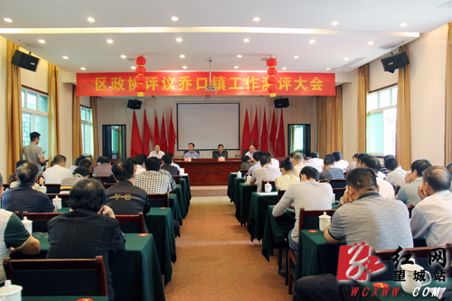 长沙市望城区政协对乔口镇工作开展民主评议