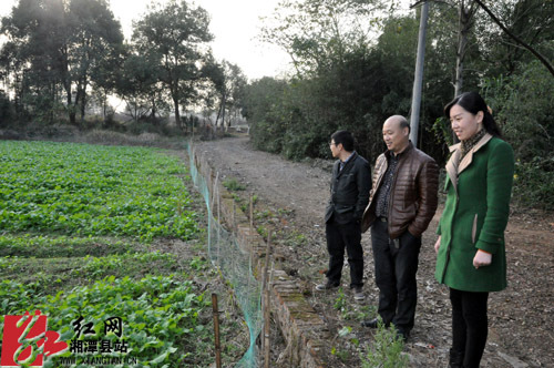 湘潭县委副书记周艳希调研乡镇农业生产和土地