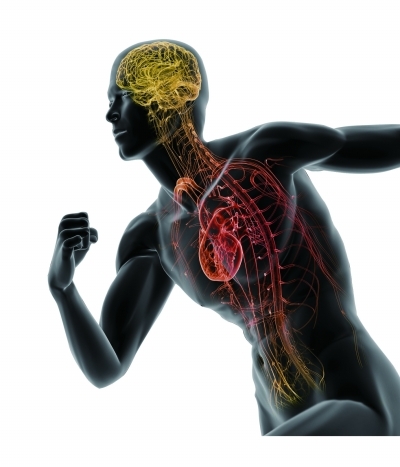 马拉松终点前=最危险时刻