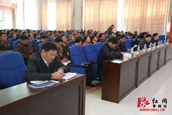 零陵区委书记严兴德讲话