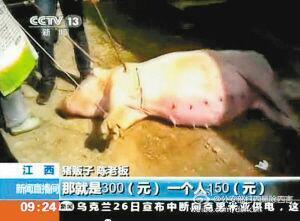 宜春病死猪流入7省市
