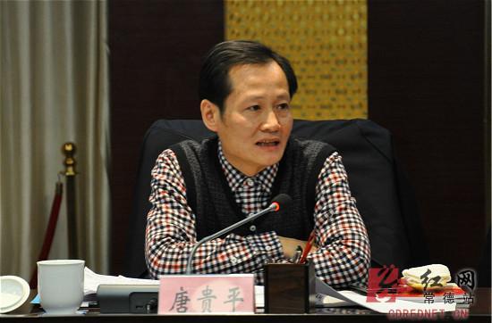 常德网友齐聚一堂畅谈2015年网宣工作