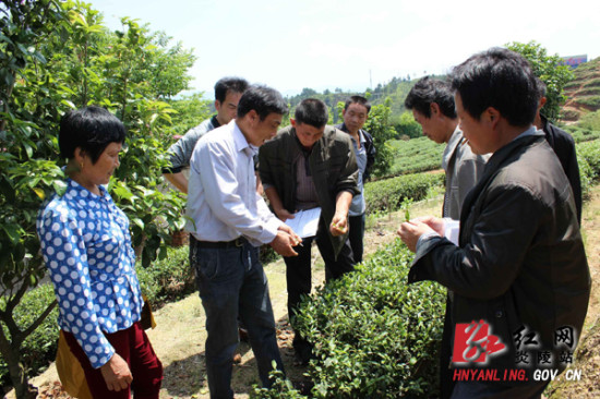 炎陵县举办神农茗茶叶种植专业合作社茶叶培训班