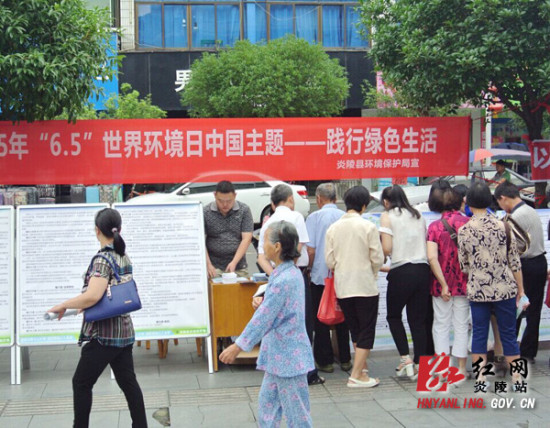 炎陵县开展世界环境日宣传活动