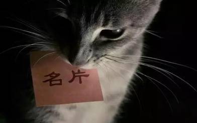 交换名片这么简单的事看果壳智能圆表如何玩出逼格?