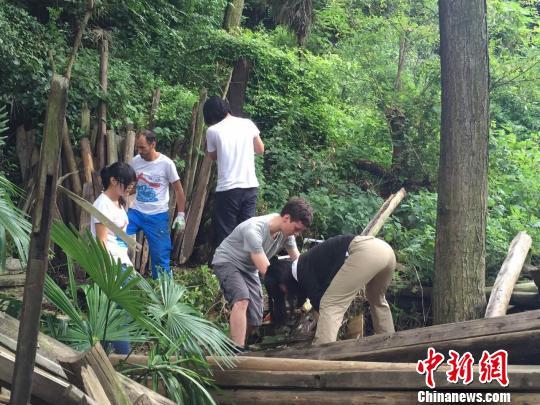 图片版权归原作者所有