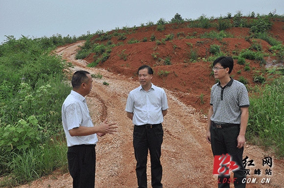 洪山殿镇经济总量_洪山殿镇彭赛