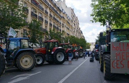 与众不同的抗议：法国人易暴走 印度不走寻常路