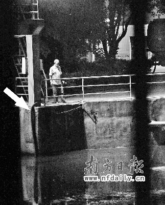 深圳两污水厂涉嫌异地偷排市民称鱼草被毒死