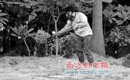 东莞大气全面恢复基本排除化学恐怖袭击可能